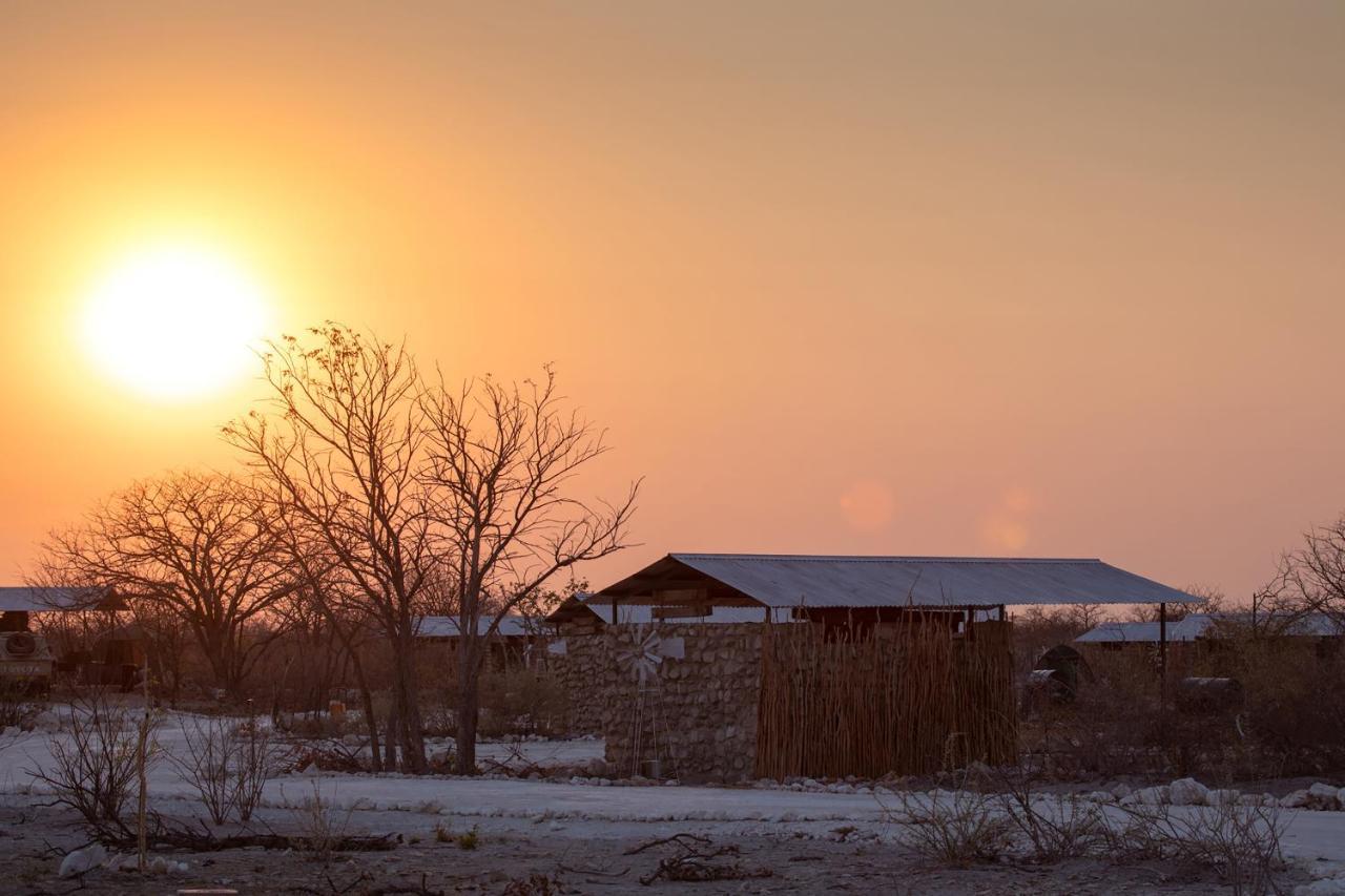 Etosha Trading Post Campsite Окаукуэджо Экстерьер фото